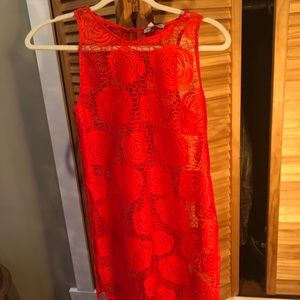 Ladies beach cover up. Or dress with slip.